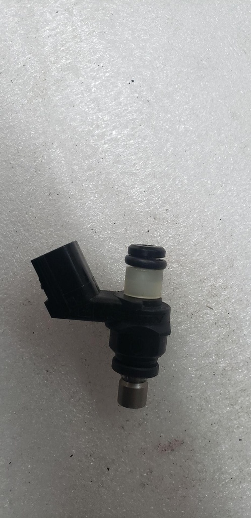 INJECTOR ASSY., FUEL