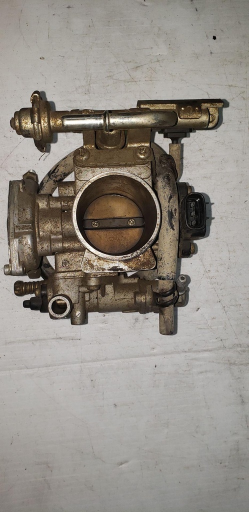 Throttle Body Assy