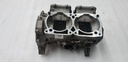 CRANKCASE KIT
