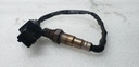 OXYGEN, SENSOR