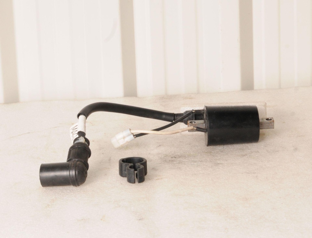 COIL-IGN,DC-SDI,W/ZIP TIE,MAG