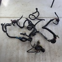 HARNESS MAIN