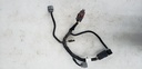 HARNESS-HOOD, 550