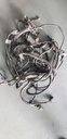 HARNESS-MAIN