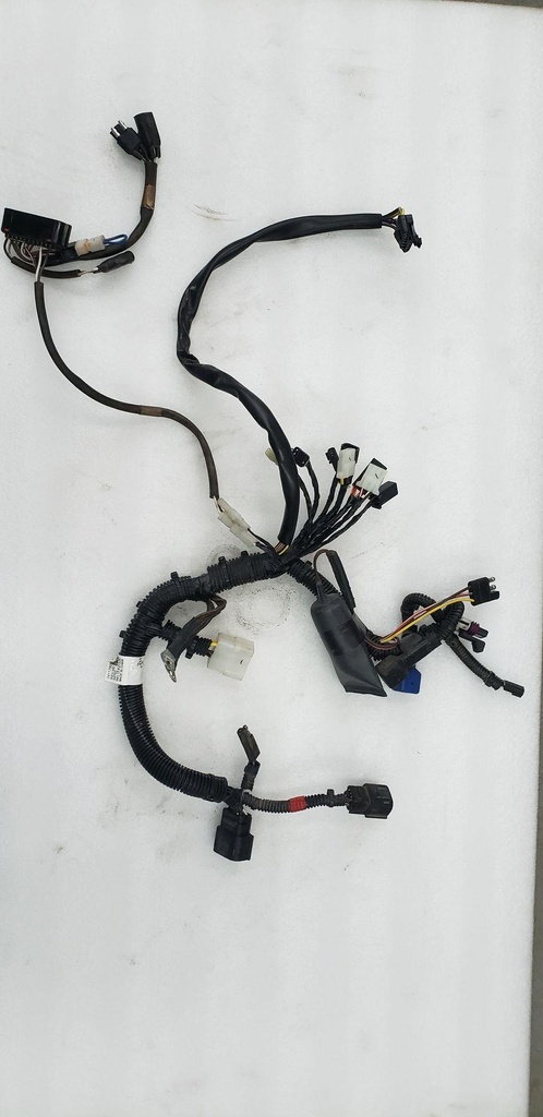 HARNESS-MAIN WIRE,550