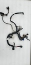 HARNESS-MAIN WIRE,550