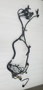 HARNESS,MAIN