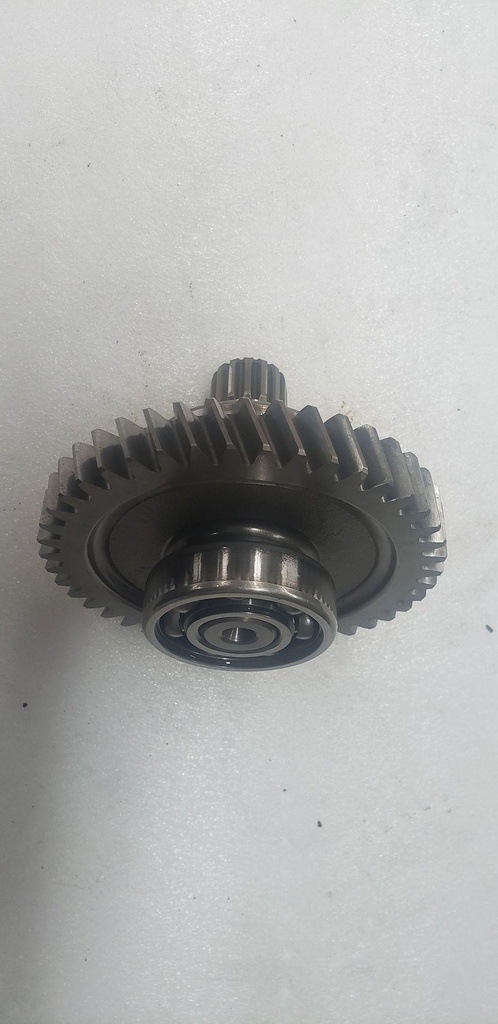 GEAR-BRAKE 43T (286210)