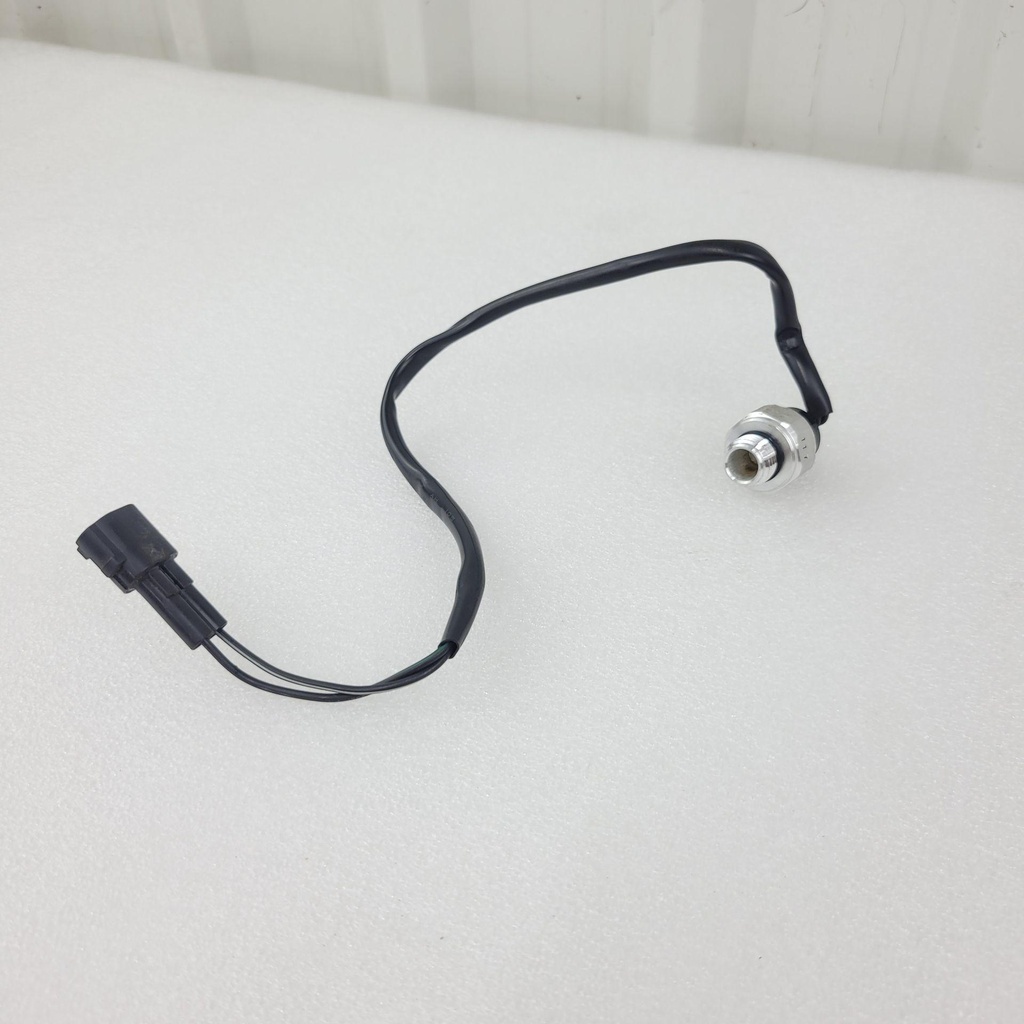 switch assy water temp