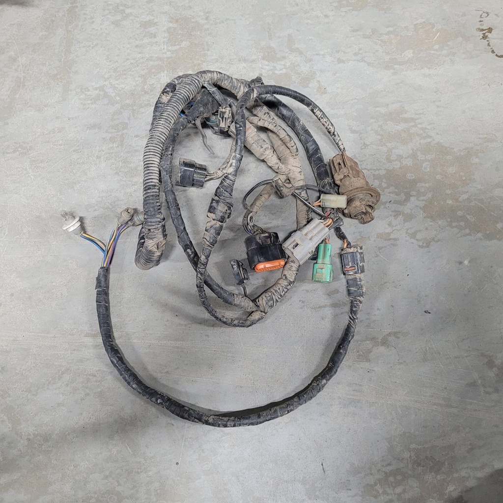 Harness, Main