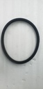 Drive Belt
