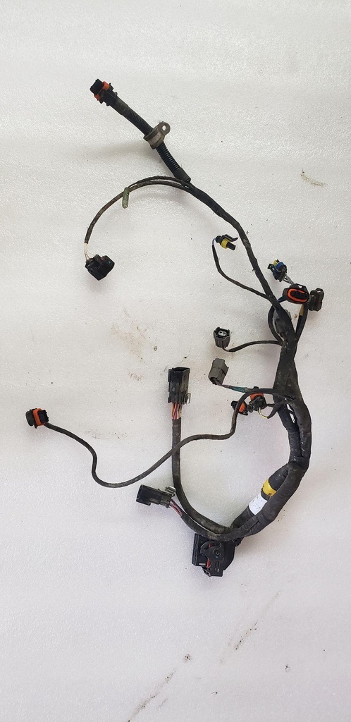 Engine Wiring Harness
