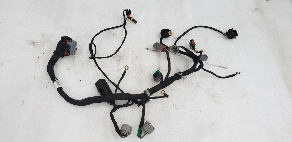 Engine Wiring Harness