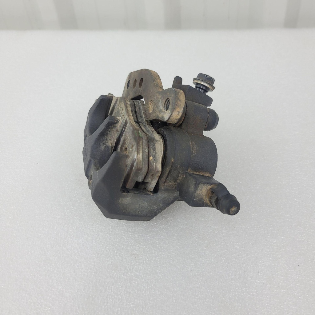 caliper-sub-assy,fr,r