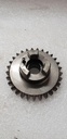 GEAR STRAIGHT 29 TEETH 05%