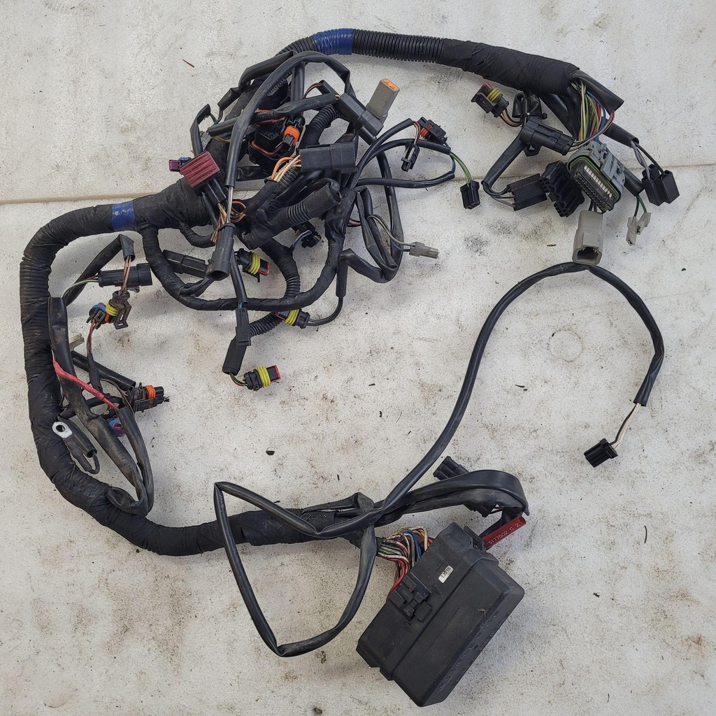 Main Harness
