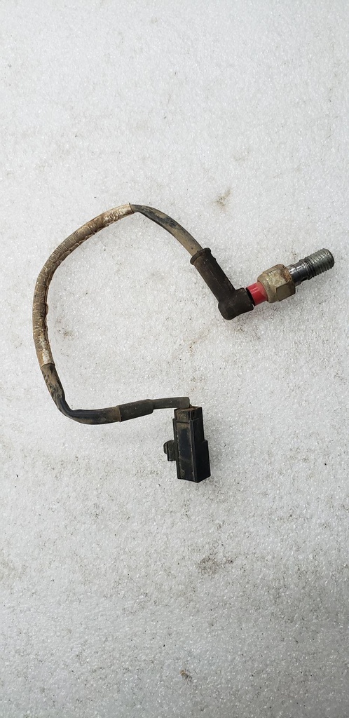 Brake Switch - BRP - 705601250