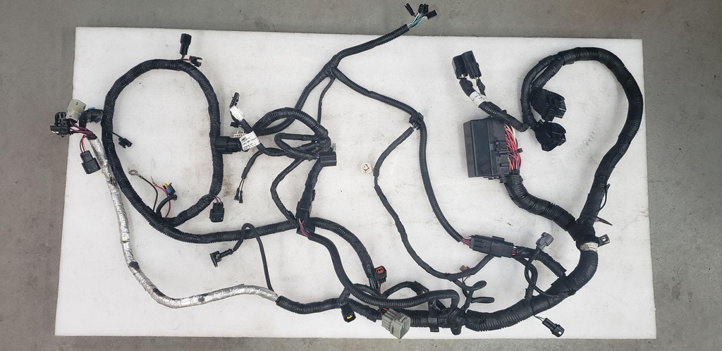 Wire Harness Assy - 8LJ-H2590-00-00 YAMAHA