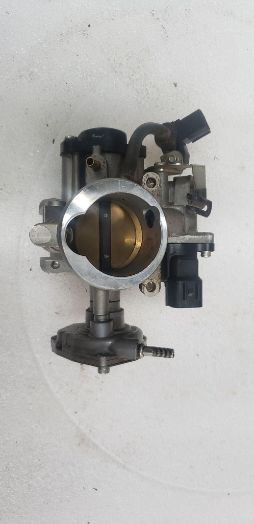 Throttle Body Assy