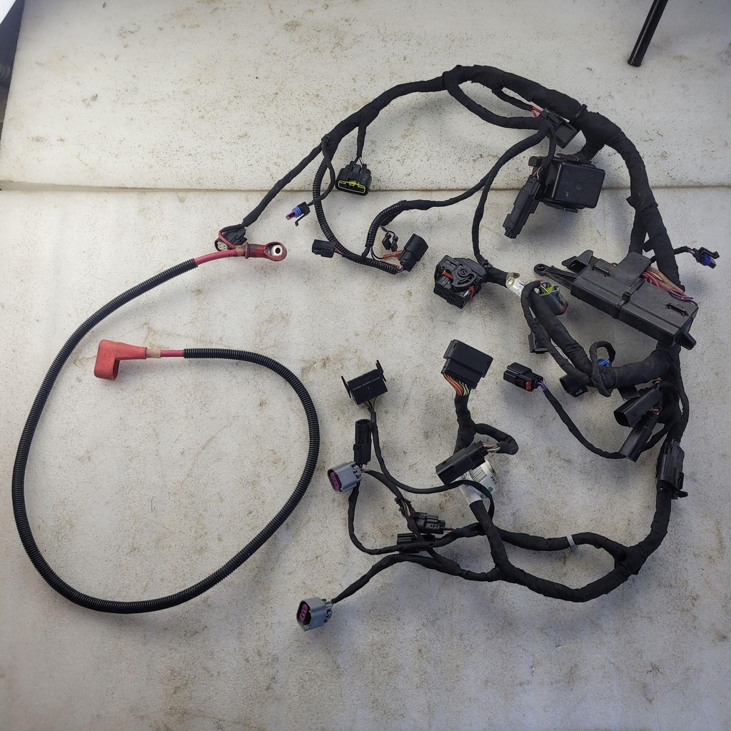 Chassis WIring Harness