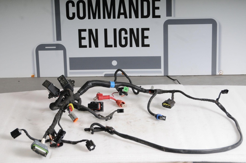 Main Harness Ass'y