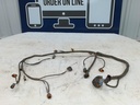 Engine Wiring Harness
