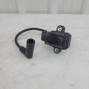 injector cap 2
