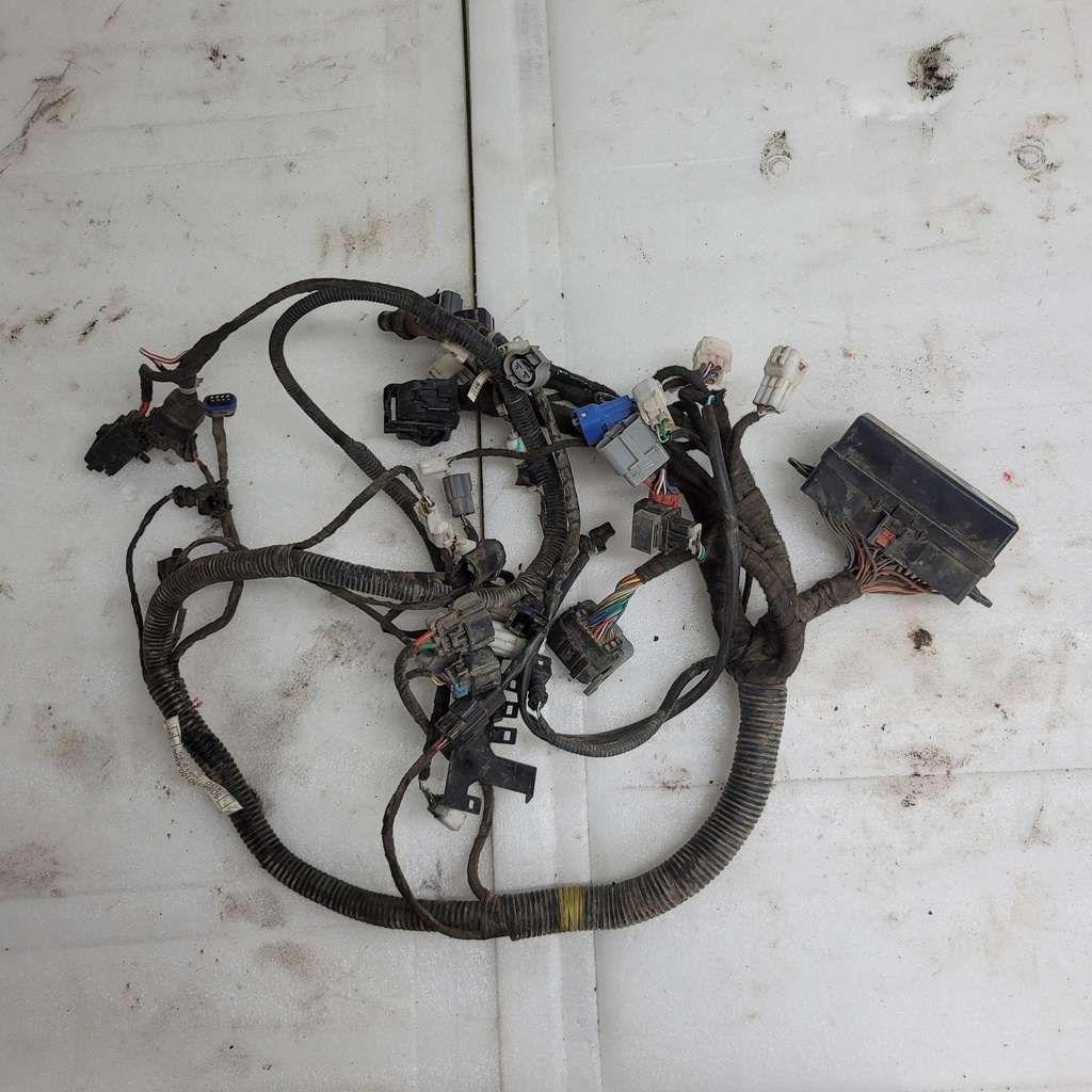 MAIN WIRE HARNESS