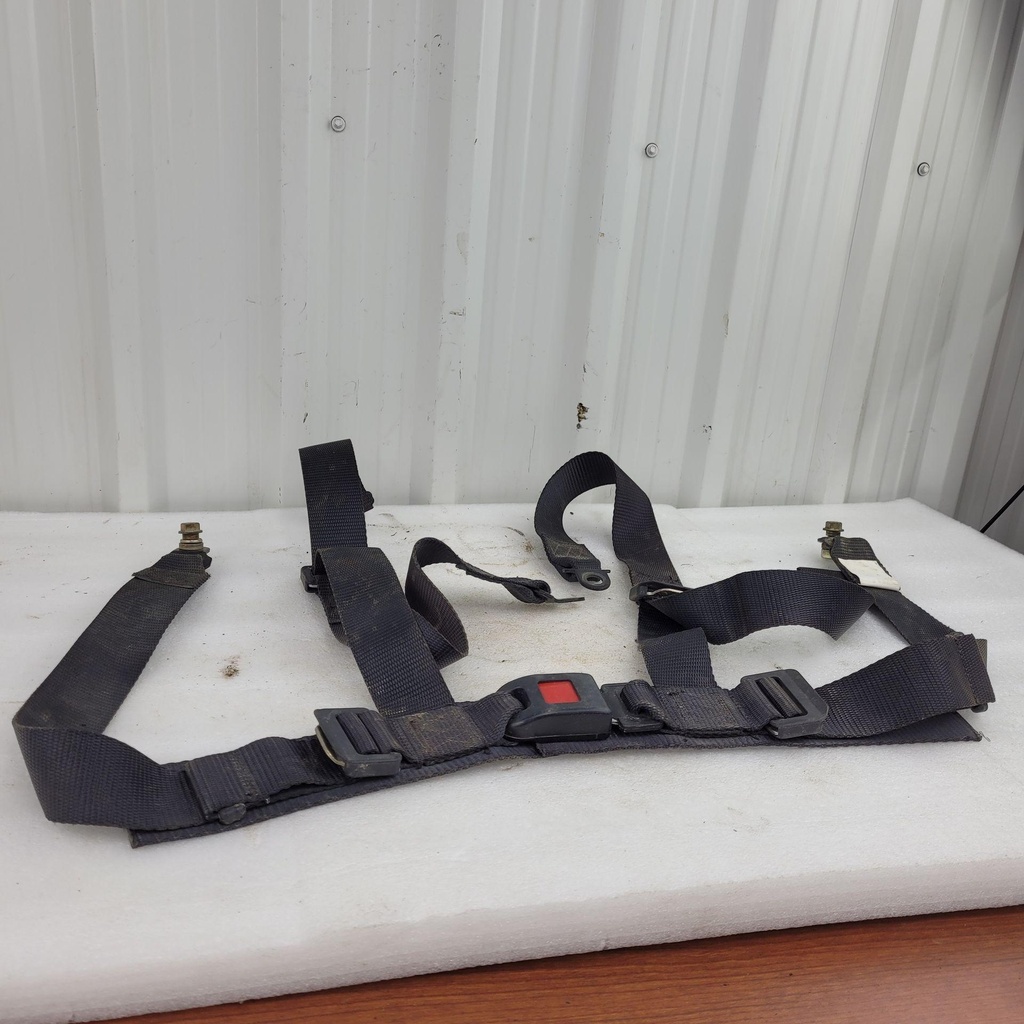 seat belt, driver