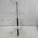 gas spring assy