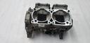 crankcase kit