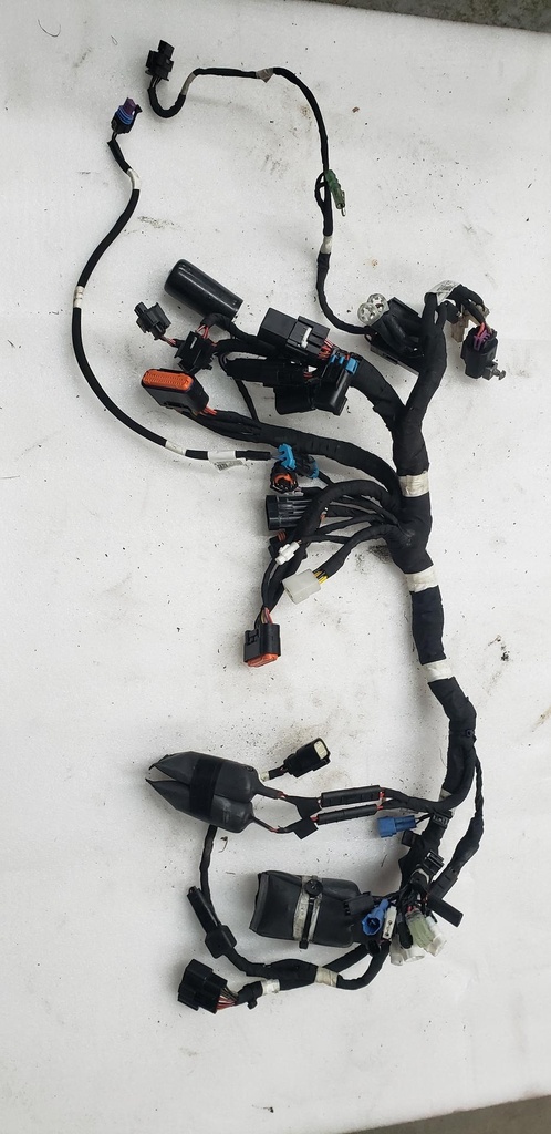harness-main le std