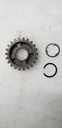 gear 3rd driven (nt:22)
