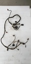 Engine Wiring Harness - Can-Am - 420666333