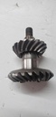 Pinion Set
