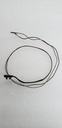 microswitch