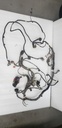 Main Wiring Harness - 710006710 can am