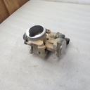 Throttle Body Assy