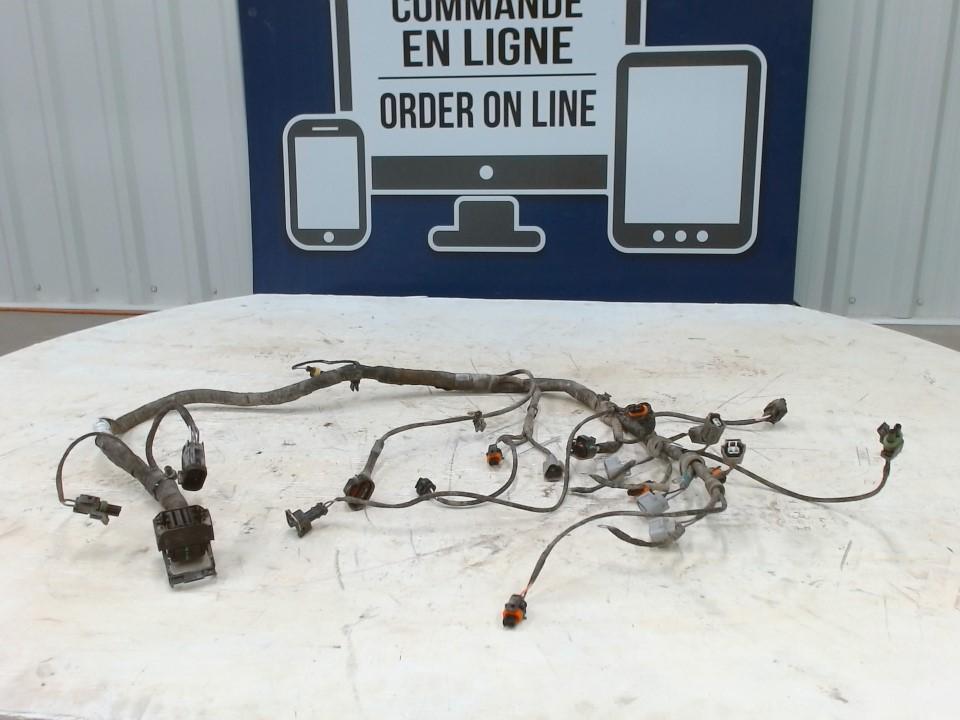 [420666613-001] Wiring Harness