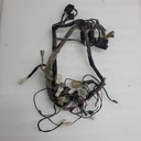 Wire Harness Assy (USA)