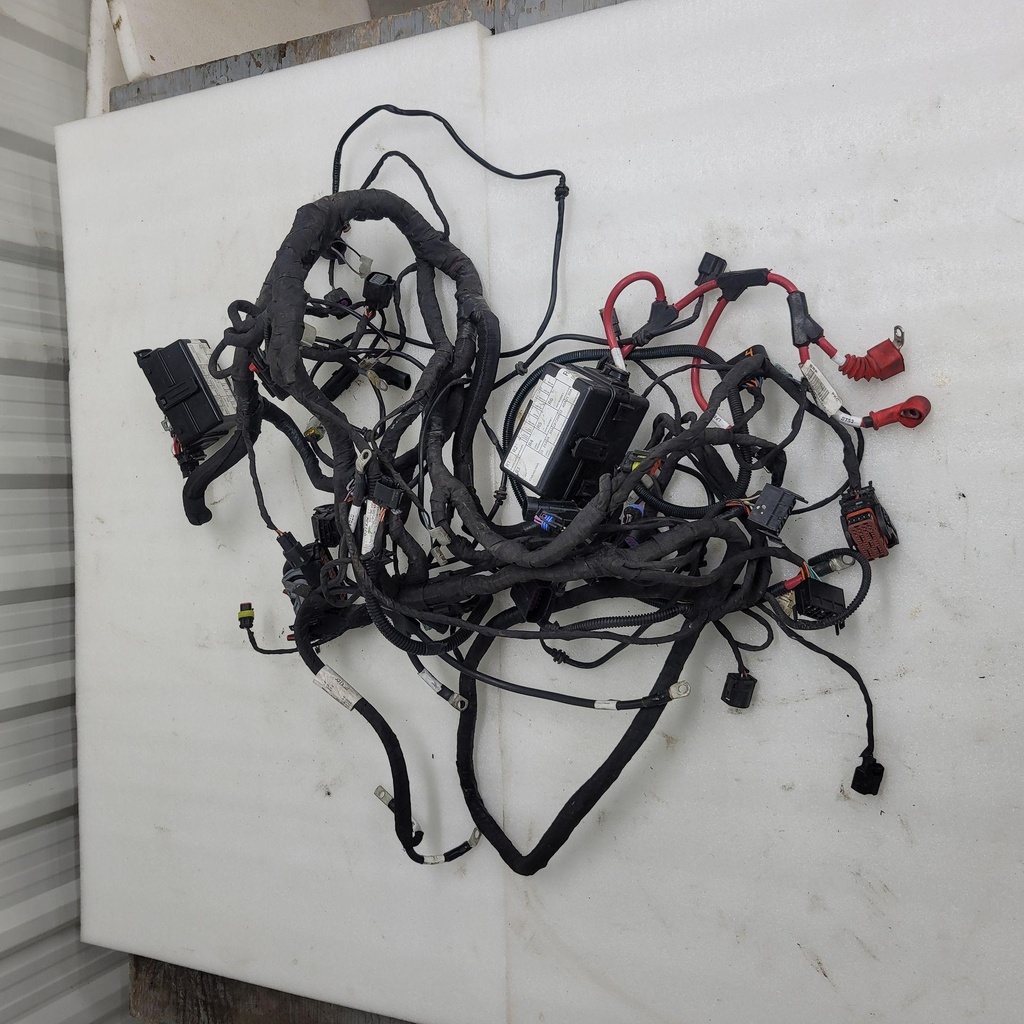 Chassis Wiring Harnes
