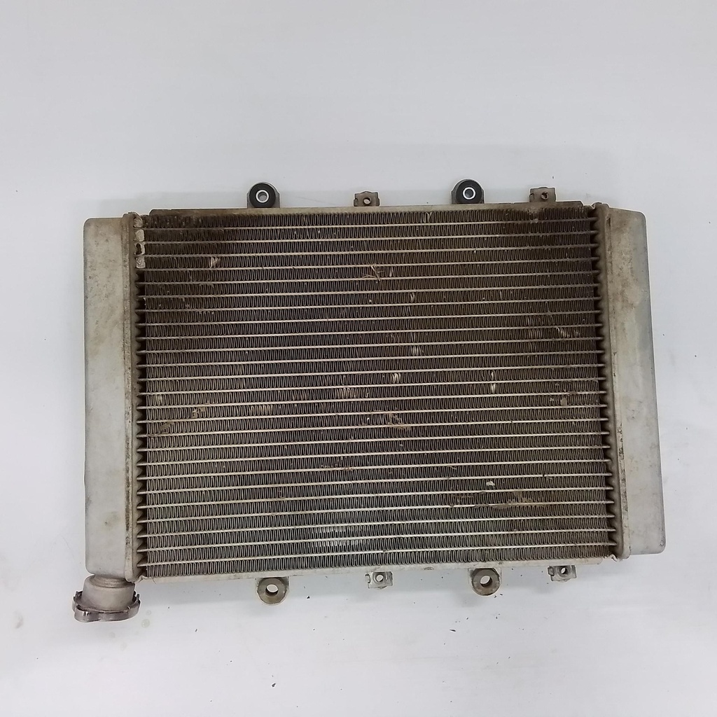 Radiator Assy