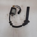 Ignition Coil Assy