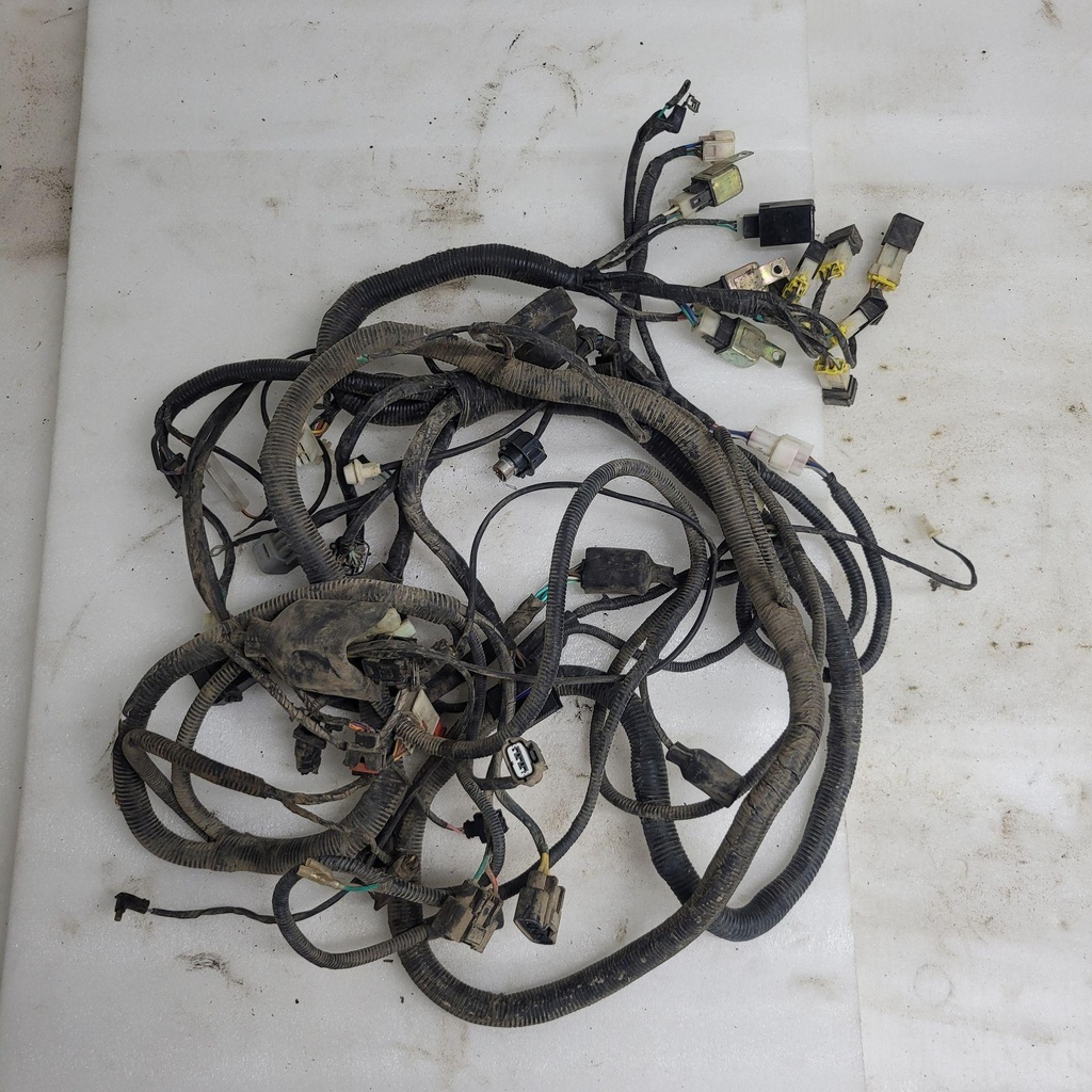 [CF00368] MAIN CABLE