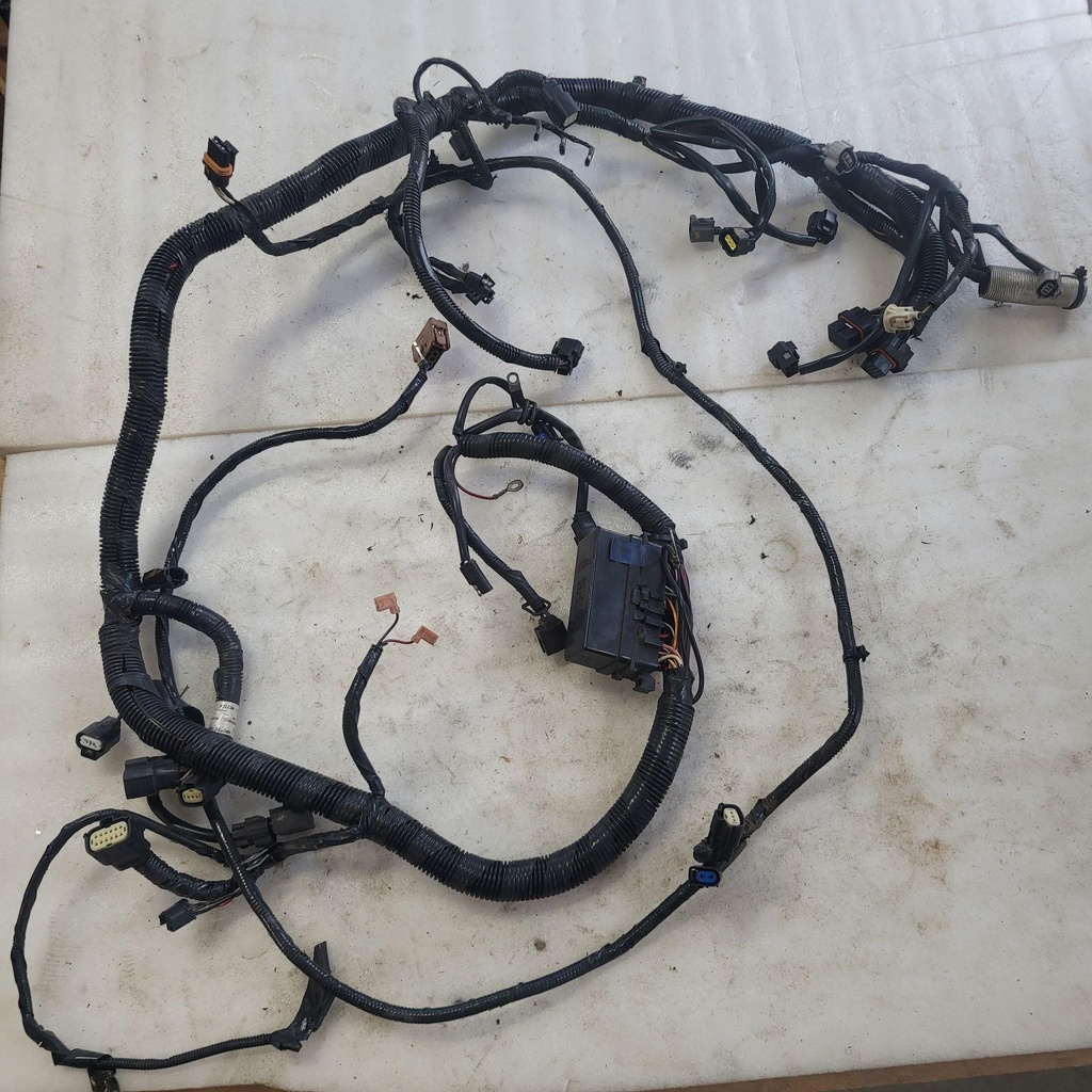 Harness, Main